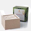 Thymes Fraiser Fir Bar Soap 0520050500